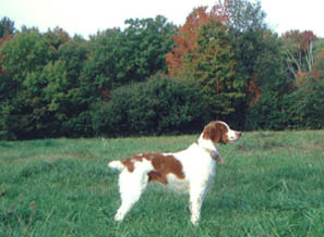 Dora standing in field