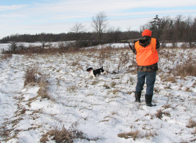 A gunner with Springer at Ruffwood Game Farm