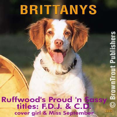 Pride, Brittany was cover girl and Miss September in Brown Trout Publishers Brittany Calendar 2003
