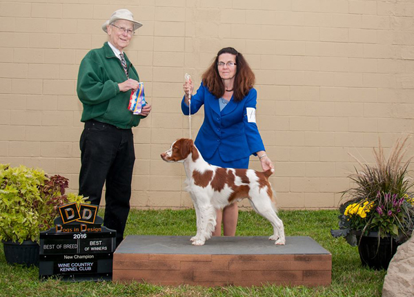 Rhett-Grand Champion