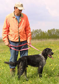 Mike, with Blue Picardy Spaniel after training to C.K.C. Field Dog Jr. title
