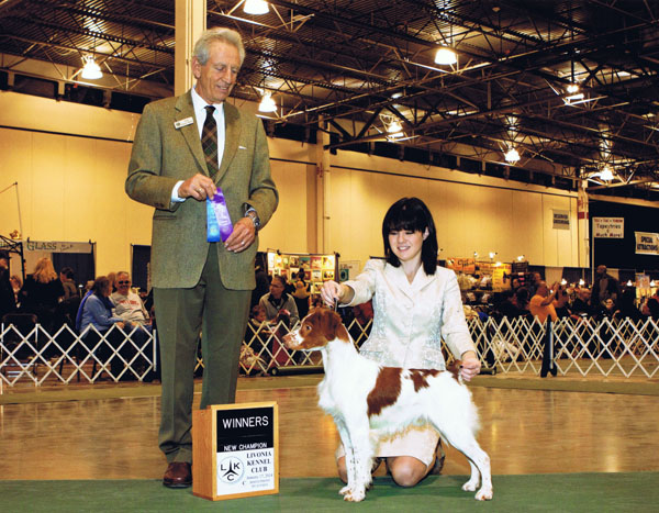 Tyler - New AKC ShowChampion